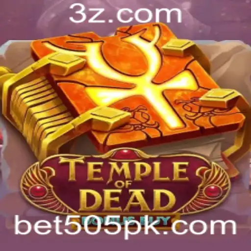 bet505 Casino App